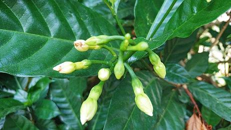 E3：牧场物语制作人新作《WORTH LIFE》六月发售