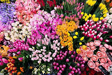 分红10亿 《羊了个羊》背后实控人拿走3亿！股价暴跌38％